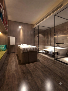 Spa Skp Files 